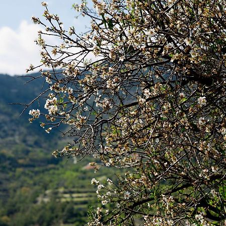 Вилла The Old Olive Mill House By Trulycyprus Dhoros Экстерьер фото