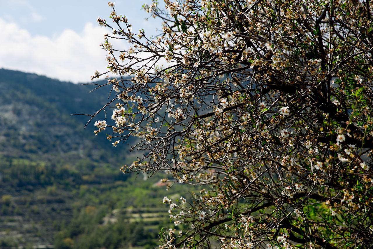 Вилла The Old Olive Mill House By Trulycyprus Dhoros Экстерьер фото