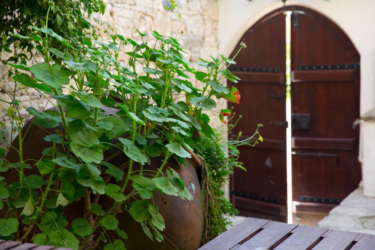 Вилла The Old Olive Mill House By Trulycyprus Dhoros Экстерьер фото