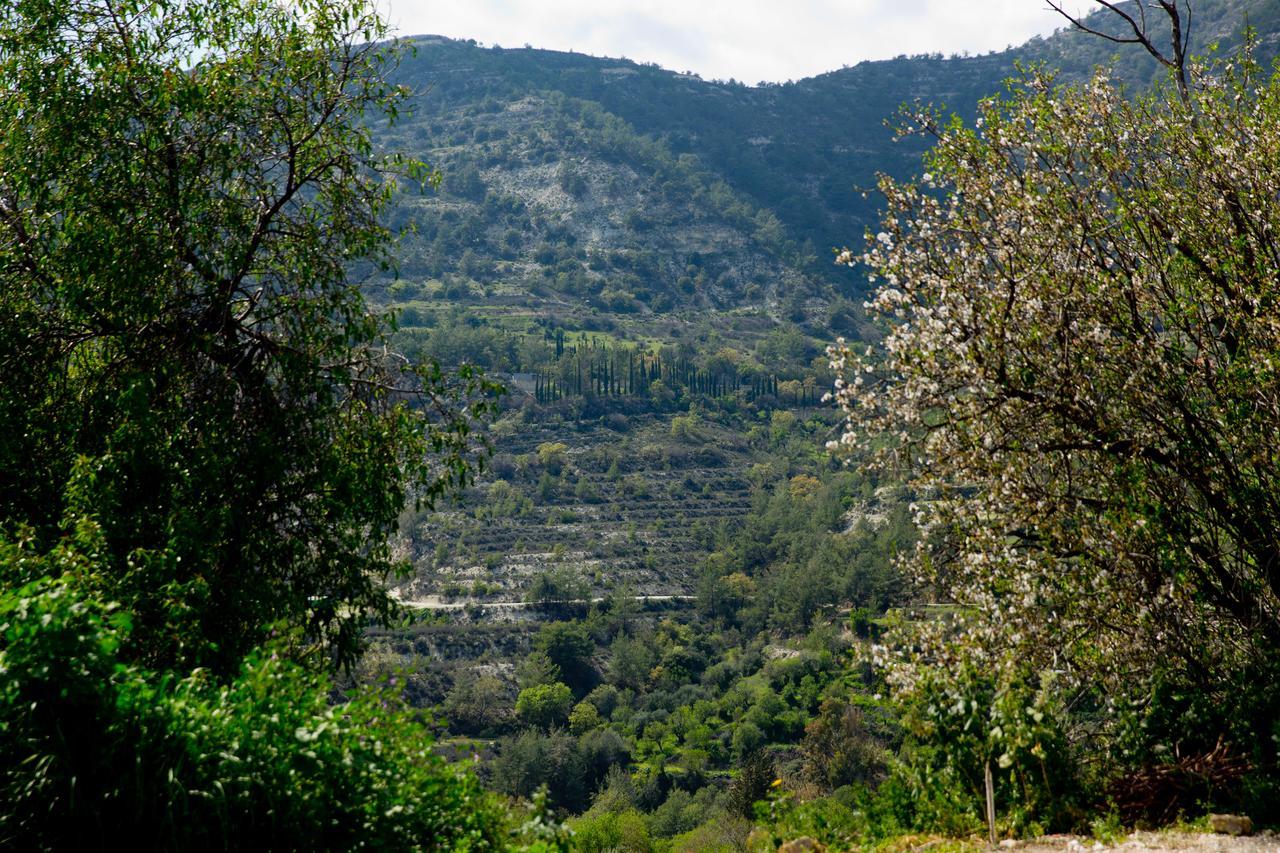 Вилла The Old Olive Mill House By Trulycyprus Dhoros Экстерьер фото