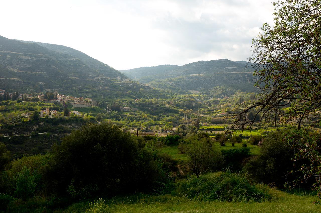 Вилла The Old Olive Mill House By Trulycyprus Dhoros Экстерьер фото